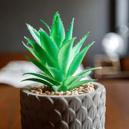 Appartamento Ga- Cozy Wroclaw&k28 *