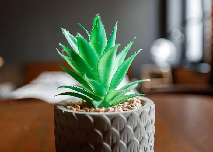 Appartement Ga- Cozy Wroclaw&k28 *